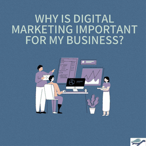 Purple Turtle Marketing -Why digital marketing is important