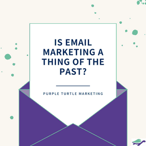 Purple Turtle Marketing: Email Marketing Services